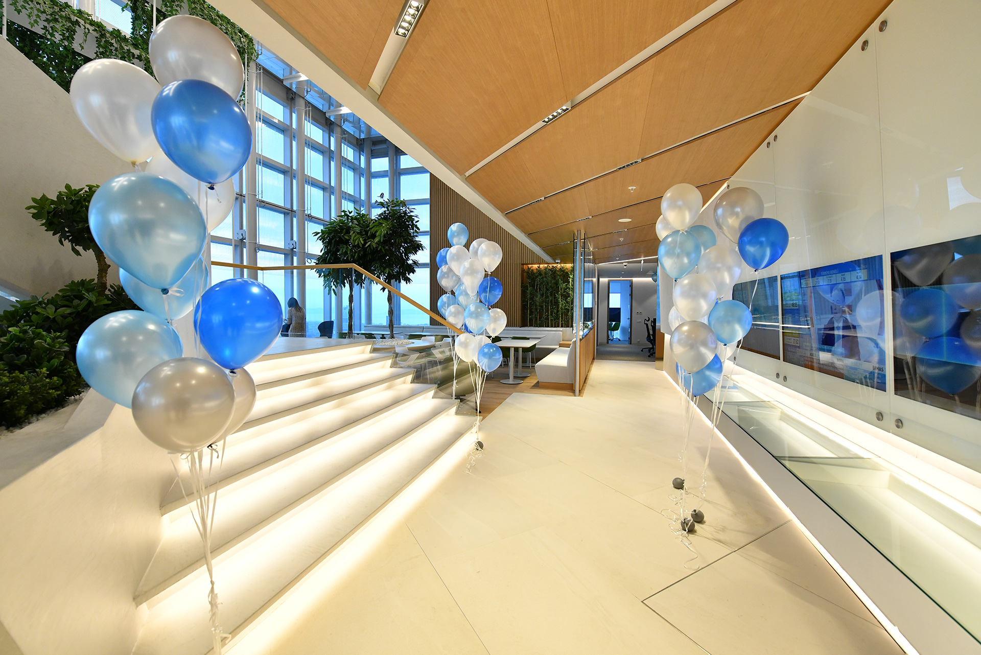 cimsa_8