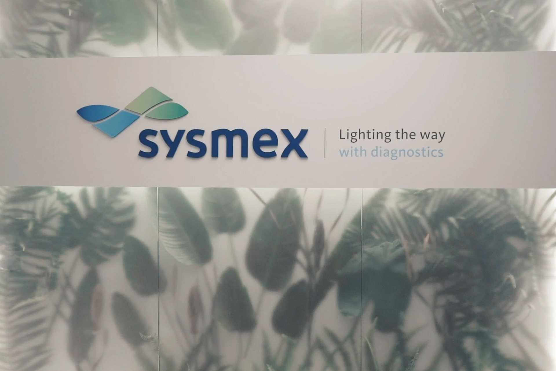 sysmex13